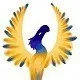 Phoenix Rising Wellness Sanctuary