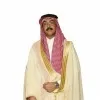Sulaiman Mirza