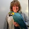 Laurie Brehm