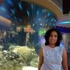 Shilpi