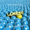 Lokesh