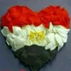 mohamad mohsen