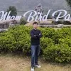 Vu Nam