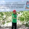 Regi Ernando