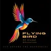 Flying Bird Of global education