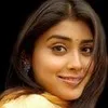 shilka jain