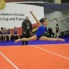 Hesham