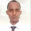Sir Bisle