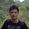 Feifei Qin