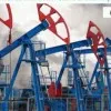 Intl Quality Fertilizer Energy Co