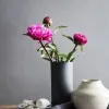 Esraa Arab