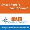 MLM Consultancy