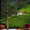 SATHYA