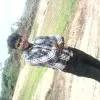 Harish Hulikeri