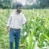 M KISHORE KUMAR