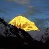 Rahul Dhiman