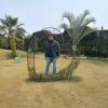 Rajesh Tiwari