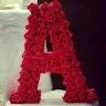Amritpal Amritpal
