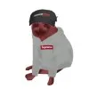 Aidan