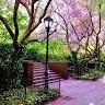 sathish kumar
