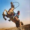Amro Elshreef