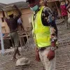 Ojo Adebisi