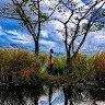 Rohith