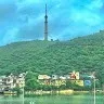 Mradul kumar