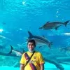 Muhd Hairul