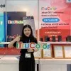 Abbey Xie