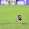 Mason Mount