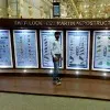Suri Babu