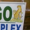 Kasujja Kasule