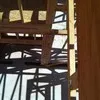 Eduardo Dominguez