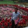 Pijush Kanti Ghosh