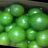Shri Renugaa agro Exports