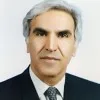 Abbas Naini