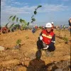 Cesa Aditiya Nugroho