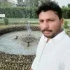 M Arslan