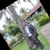 Umasankar Muniyappa