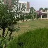 Sumaira Sharif