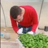Ahmed Ataya