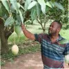 Emmanuel Kofi Kroduah