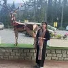 Nowsheen Mufti