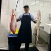 Adi Artana