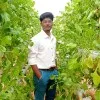 Vaishak
