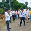 devendra shahare