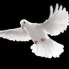 Hussain