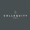 Collequity Group