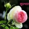 Mandeep Kaur